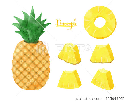 Hand drawn watercolor pineapple illustration set 115043051