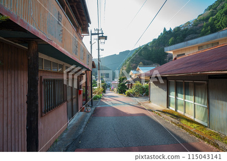 靜岡縣 Kawanehon 鎮 Sumata 峽谷景觀，2024 年春季 115043141
