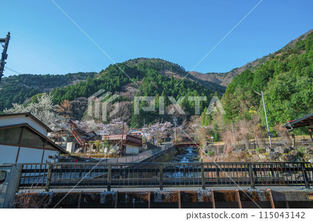 Scenery of Sumata Gorge, Kawane-cho, Shizuoka Prefecture, Spring 2024 115043142