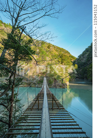 Scenery of Sumata Gorge, Kawane-cho, Shizuoka Prefecture, Spring 2024 115043152