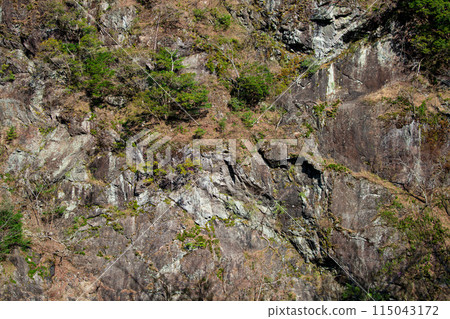 Scenery of Sumata Gorge, Kawane-cho, Shizuoka Prefecture, Spring 2024 Scenery of Sumata Gorge, Kawane-cho, Shizuoka Prefecture, Spring 2024 115043172