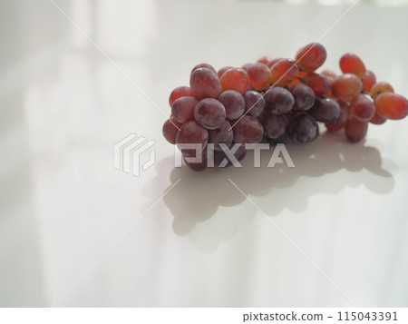 Red seedless grapes (white background) Red seedless grapes (white background) 115043391