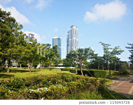 tall buildings in the park 115043726