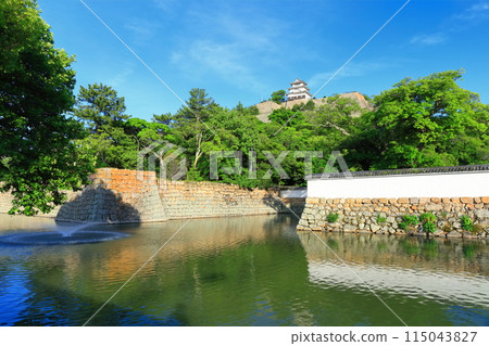 [Kagawa Prefecture] Marugame Castle on a clear May day as seen from the northern inner moat (a famous castle with a surviving castle tower and stone walls) 115043827