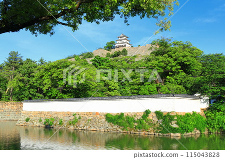 [Kagawa Prefecture] Marugame Castle on a clear May day as seen from the northern inner moat (a famous castle with a surviving castle tower and stone walls) 115043828