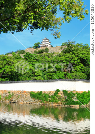 [Kagawa Prefecture] Marugame Castle on a clear May day as seen from the northern inner moat (a famous castle with a surviving castle tower and stone walls) 115043830