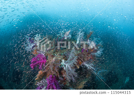 Hanasaki House Hanasaki House 115044315