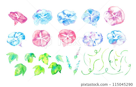 Watercolor painting. Watercolor morning glory vector illustration. Summer morning glory frame background. Japanese-style morning glory material. Watercolor painting. Watercolor morning glory vector illustration. Summer morning glory frame background. Japanese-style morning glory material. 115045290