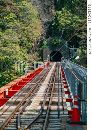 靜岡縣川根本町奧大井站站的春天景色 115045426