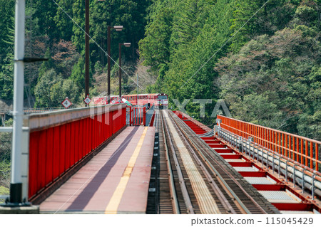 靜岡縣川根本町奧大井站站的春天景色 115045429