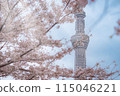 櫻花下的東京晴空塔 115046221