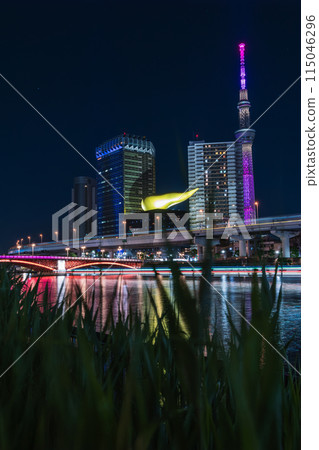Night view of Tokyo Sumidagawa 115046296