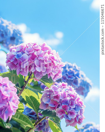 Hydrangeas against the blue sky AI image 115046671