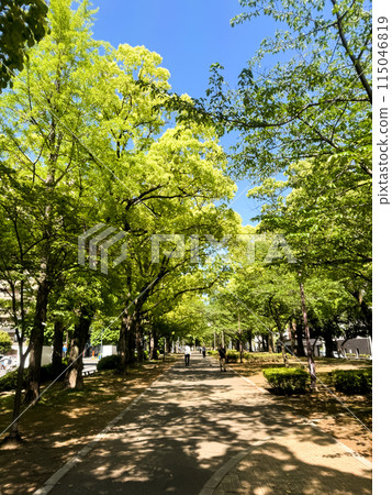 The beautiful views in Tokyo The beautiful views in Tokyo 115046819