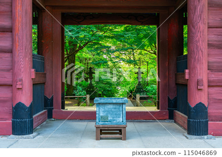 [Kanagawa Prefecture] Myohonji Temple in Kamakura, with its beautiful summer greenery 115046869