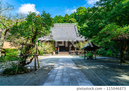 [Kanagawa Prefecture] Myohonji Temple in Kamakura, with its beautiful summer greenery 115046873