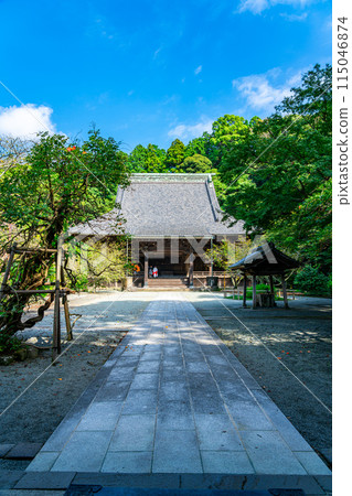 [Kanagawa Prefecture] Myohonji Temple in Kamakura, with its beautiful summer greenery 115046874