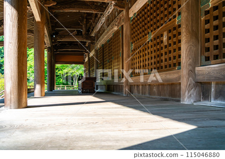 【神奈川縣】鎌倉妙本寺,夏日綠意盎然 【神奈川縣】鎌倉妙本寺,夏日綠意盎然 115046880