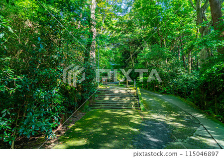 【神奈川縣】鎌倉妙本寺，夏日綠意盎然 115046897