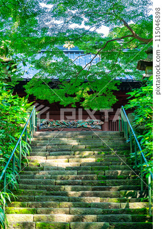 [Kanagawa Prefecture] Myohonji Temple in Kamakura, with its beautiful summer greenery 115046898