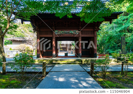 【神奈川縣】鎌倉妙本寺，夏日綠意盎然 115046904