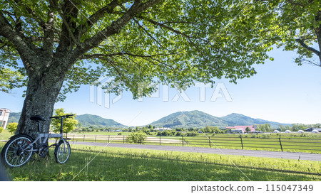Fresh greenery and early summer cycling image (Hiruzen Plateau) 115047349