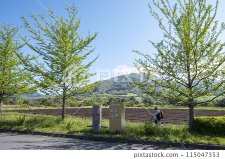 清新的綠意與初夏的騎乘形象（蒜山高原） 115047353