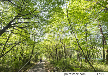 Fresh greenery and early summer cycling image (Hiruzen Plateau) Fresh greenery and early summer cycling image (Hiruzen Plateau) 115047490