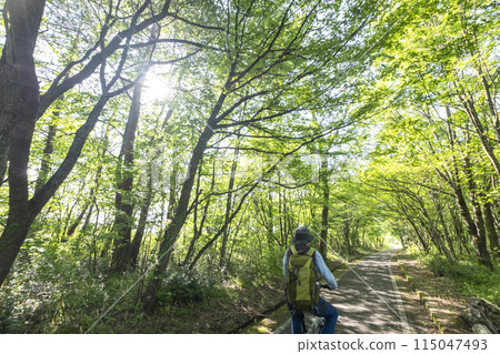 清新的綠意與初夏的騎乘形象（蒜山高原） 115047493