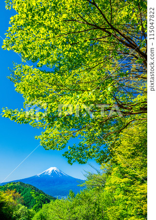 Mount Fuji and fresh greenery from Misaka Pass 115047822