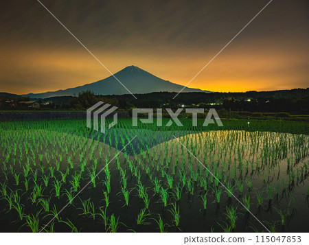 Inverted Mt. Fuji over illuminated rice fields before dawn Inverted Mt. Fuji over illuminated rice fields before dawn 115047853