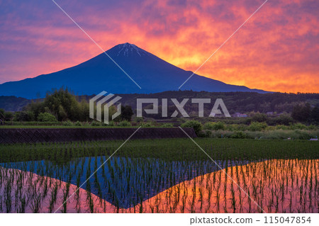 Upside-down Mt. Upside-down Mt. 115047854