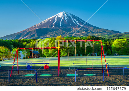 Swings, fresh greenery and Mt. Fuji in the park at Narusawa Village Roadside Station 115047879