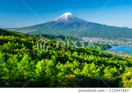 Fresh greenery and Mt. Fuji seen from the heights of Nishikawa Forest Road Fresh greenery and Mt. Fuji seen from the heights of Nishikawa Forest Road 115047887