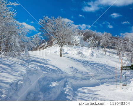 Snow-covered trees on the summit of Mt. Madarao (Madarao Highlands, Nagano Prefecture) 115048204