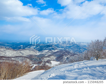 Snowy mountains seen from the summit of a ski resort (Madarao Highlands, Nagano Prefecture) Snowy mountains seen from the summit of a ski resort (Madarao Highlands, Nagano Prefecture) 115048205