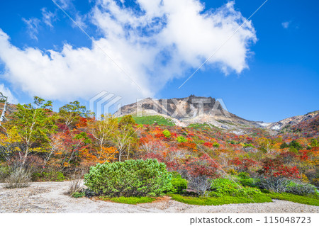 秋天的那須山(茶臼岳)、楓葉的姥平自然風光【栃木縣那須鹽原市】 秋天的那須山(茶臼岳)、楓葉的姥平自然風光【栃木縣那須鹽原市】 115048723