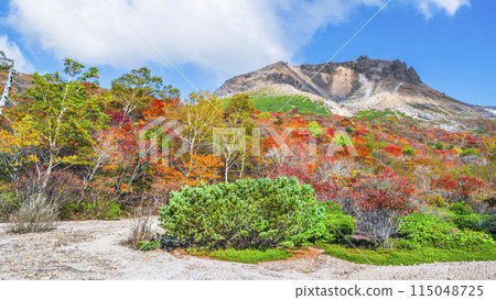 栃木縣的絕美秋景 那須山（茶臼岳） 紅葉旅遊勝地 [栃木縣/那須鹽原市] 115048725
