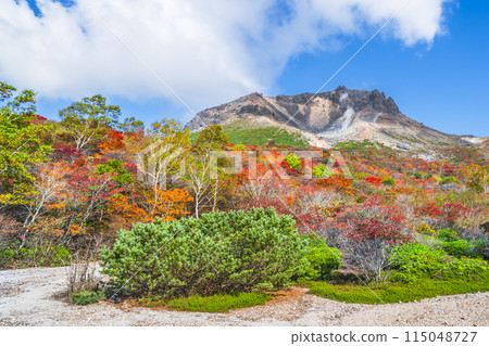 栃木縣的絕美秋景 那須山（茶臼岳） 紅葉旅遊勝地 [栃木縣/那須鹽原市] 115048727