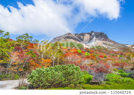 栃木縣的絕美秋景 那須山（茶臼岳） 紅葉旅遊勝地 [栃木縣/那須鹽原市] 115048729