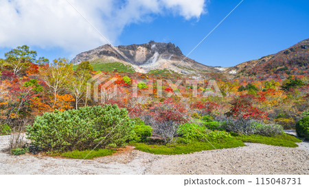 栃木縣的絕美秋景 那須山（茶臼岳） 紅葉旅遊勝地 [栃木縣/那須鹽原市] 115048731