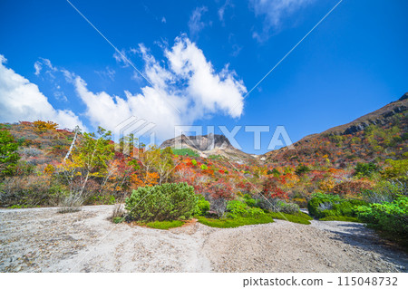 Autumn in Mt. Nasu (Mt. Chausu) - Beautiful autumn foliage seen from Ubagadaira [Nasushiobara City, Tochigi Prefecture] 115048732
