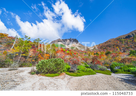 A spectacular autumn spot in Tochigi: The beautiful autumn foliage of Mount Nasu (Mount Chausu) [Nasushiobara City, Tochigi Prefecture] 115048733
