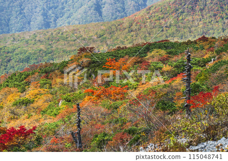 Autumn in Mt. Nasu (Mt. Chausu) Colorful mountains with autumn leaves [Nasushiobara City, Tochigi Prefecture] 115048741