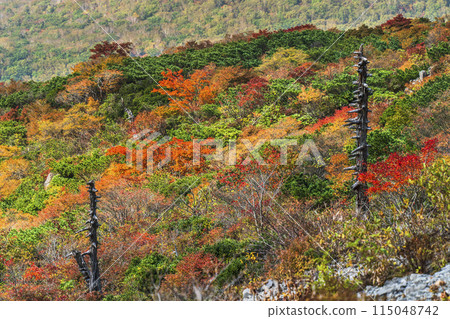 Autumn in Mt. Nasu (Mt. Chausu) Colorful mountains with autumn leaves [Nasushiobara City, Tochigi Prefecture] 115048742