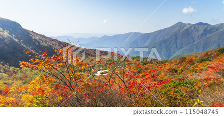 秋天的那須山(茶臼岳),從落滿紅葉的山路眺望「姥平」連綿的山脈【栃木縣那須鹽原市】 秋天的那須山(茶臼岳),從落滿紅葉的山路眺望「姥平」連綿的山脈【栃木縣那須鹽原市】 115048745