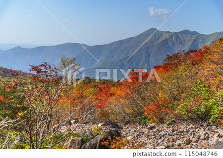 秋天的那須山（茶臼岳） 沿著紅葉繽紛的山路散步【栃木縣那須鹽原市】 115048746