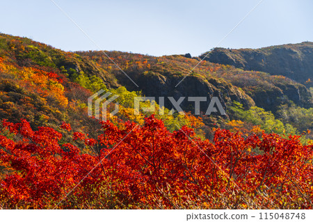 Autumn on Mount Nasu (Mount Chausu) - Walking along the colorful mountain trails with autumn leaves [Nasushiobara City, Tochigi Prefecture] 115048748