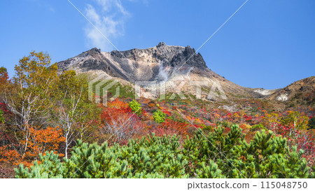 紅葉的那須山[栃木縣那須鹽原市] 115048750