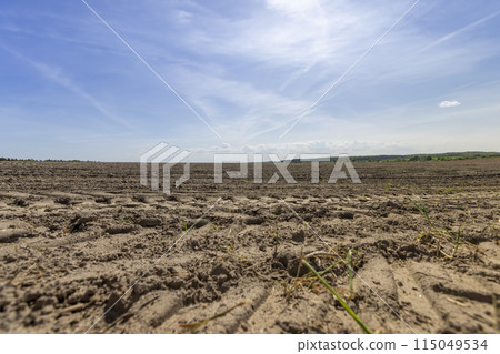 plowed soil field with traces of cars and tractors plowed soil field with traces of cars and tractors 115049534
